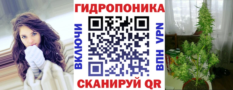 Конопля планчик  цены   Кизилюрт 